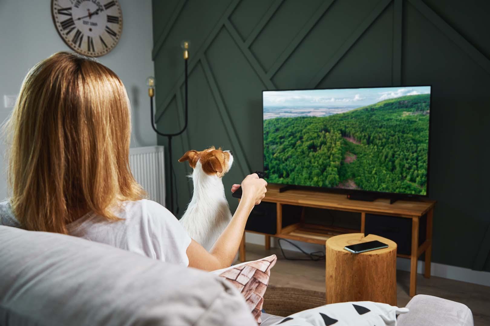Köpekler televizyonda tam olarak ne görüyor?