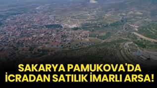 Sakarya'da icradan satılık imarlı arsa!