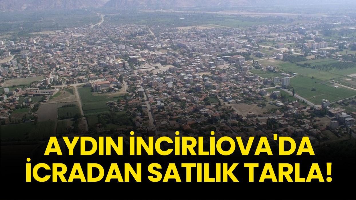 Aydın İncirliova'da icradan satılık tarla!