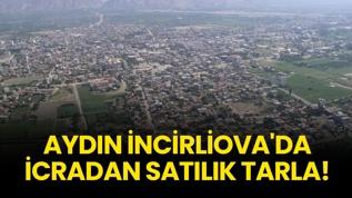 Aydın İncirliova'da icradan satılık tarla!