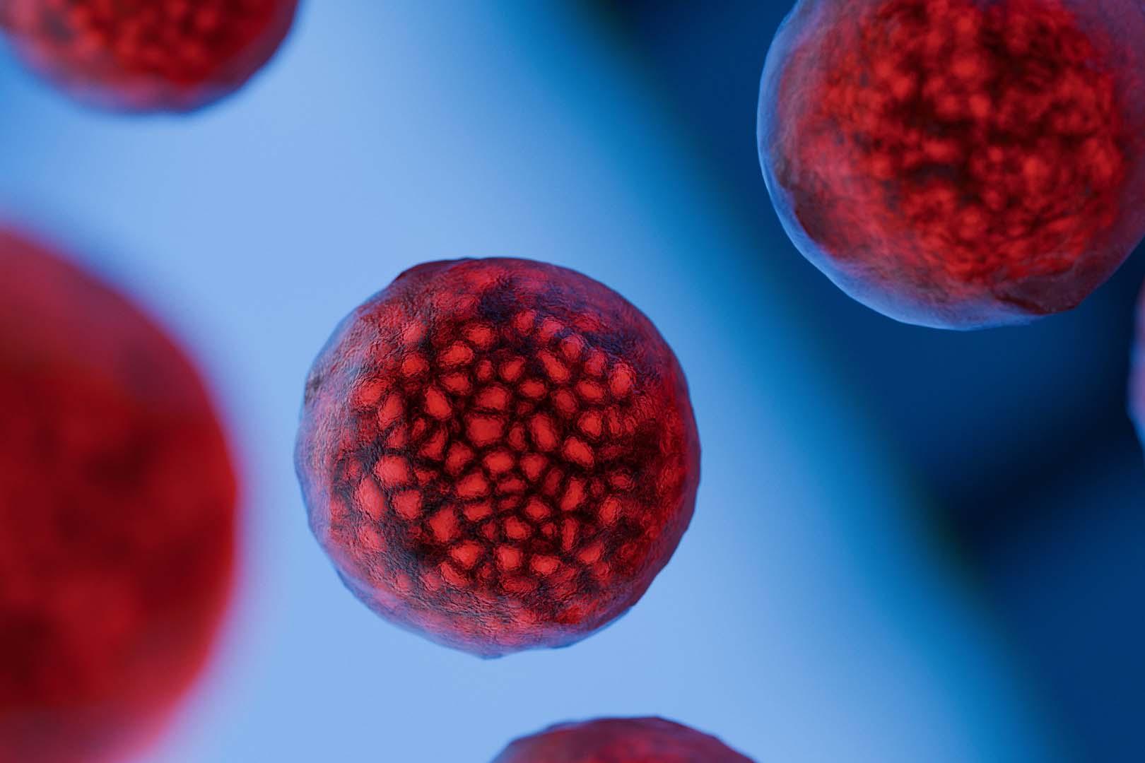Bulanık hücre görüntülerine son! Yeni mikroskop tekniği hareketli organelleri tek karede netleştiriyor