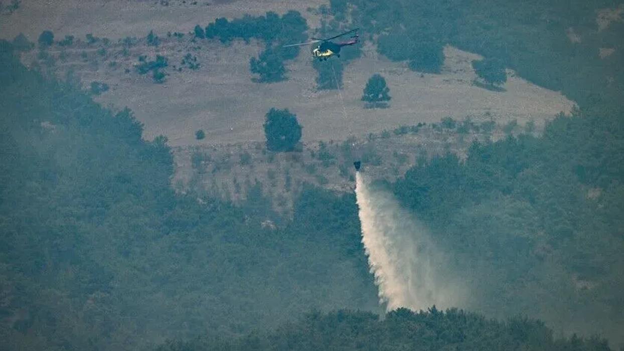 Adana'da orman yangını: Havadan ve karadan müdahale sürüyor