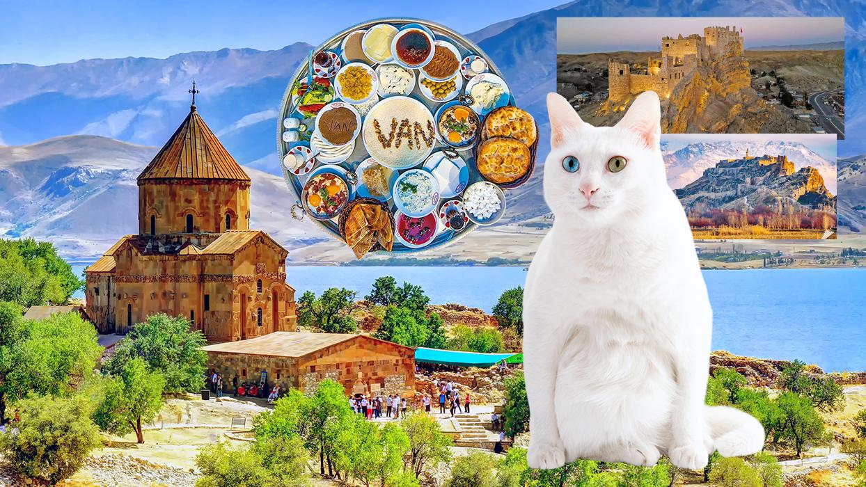 Doğu'nun mavisine doğru keşfe çıkmak isteyenlerin ilk durağı Van sayısız güzellik sunuyor