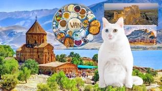 Doğu'da mavi hazine Van sayısız güzellik sunuyor