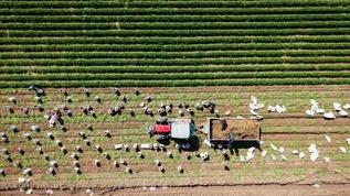 Kırsal kalkınmaya 12,5 milyar liralık hibe desteği!