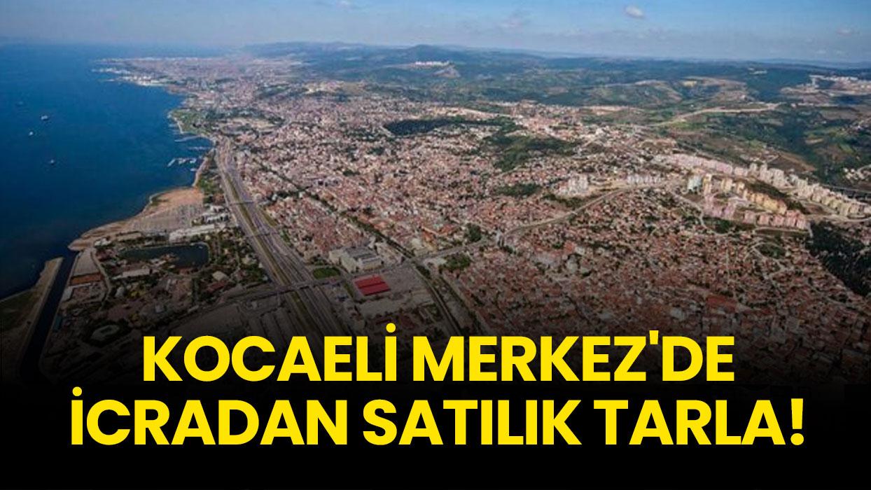 Kocaeli Merkez'de icradan satılık tarla!