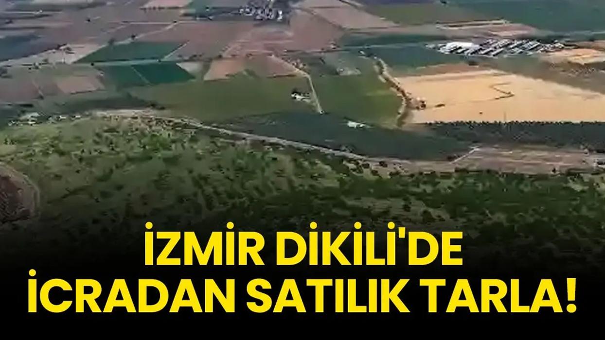 İzmir Dikili'de icradan satılık tarla!