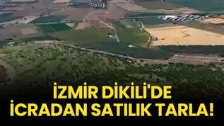 İzmir Dikili'de icradan satılık tarla!