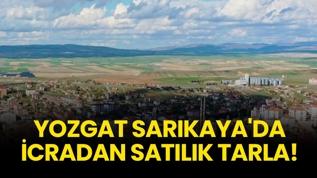 Yozgat'ta icradan satılık tarla!