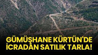 Gümüşhane Kürtün'de icradan satılık tarla!