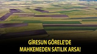 Giresun Görele'de mahkemeden satılık arsa!