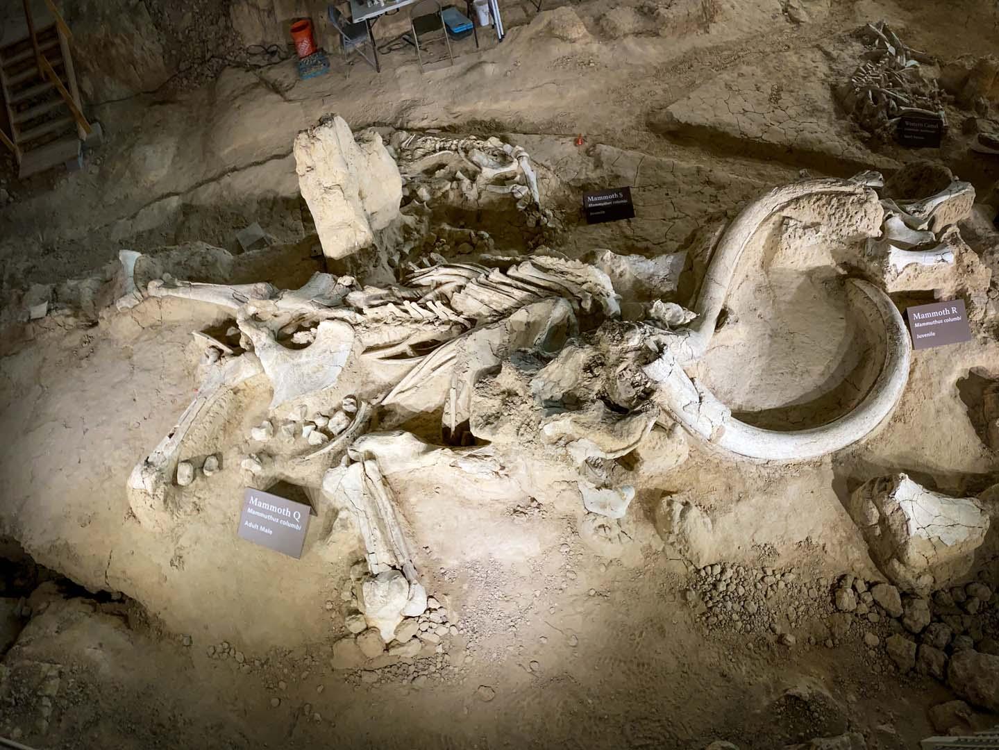 Çek Cumhuriyeti'nde nadir rastlanan bir Buzul Çağı alanı keşfedildi