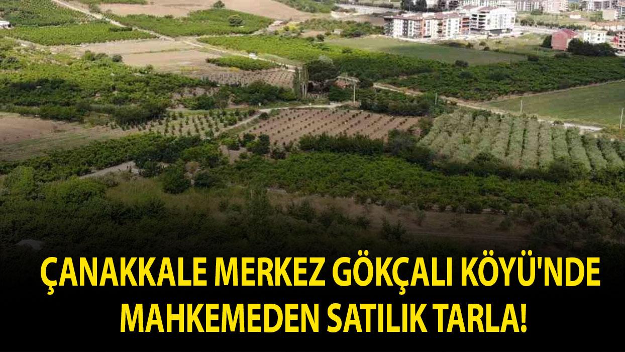 Çanakkale Merkez Gökçalı Köyü'nde mahkemeden satılık tarla!