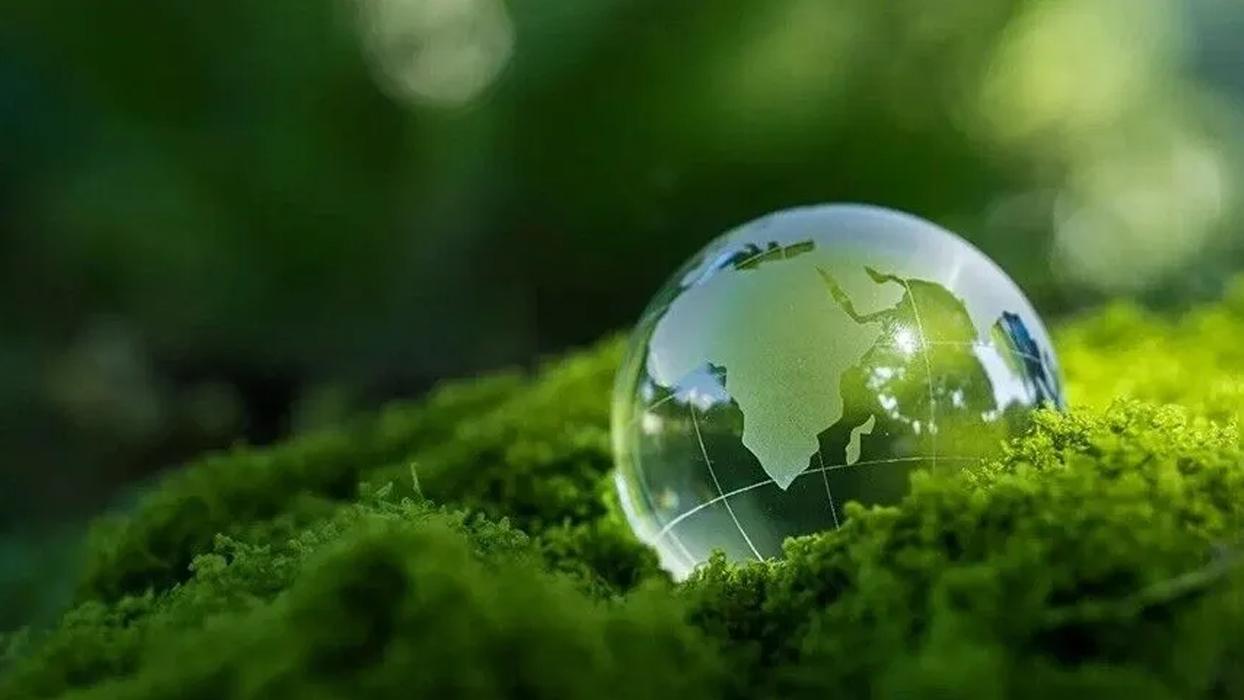 Türkiye'de yeşil ekonomi için yeni dönem