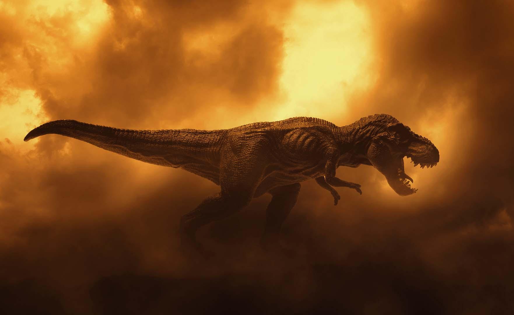 66.5 milyon yıl öncesine ait izler! T. Rex'in adımları ve hızı hesaplandı