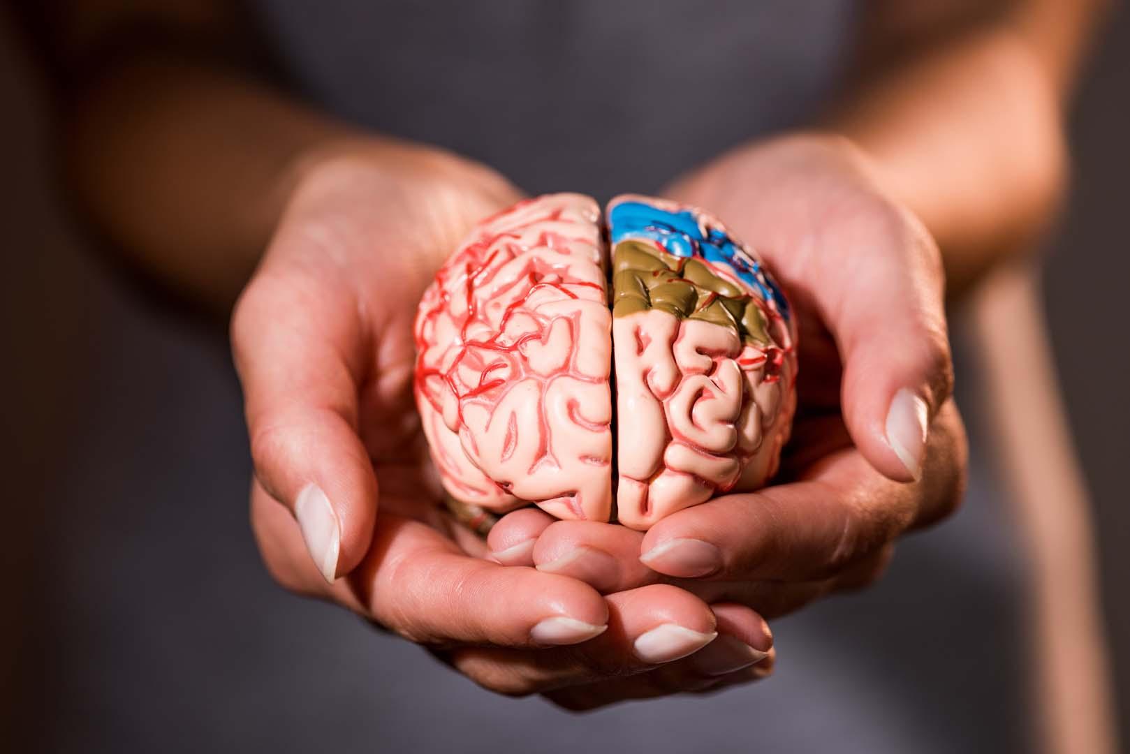 Parkinson ve Alzheimer için devrim niteliğinde keşif! Minik solucanlar beyin hücresi yenilemenin sırrını çözüyor