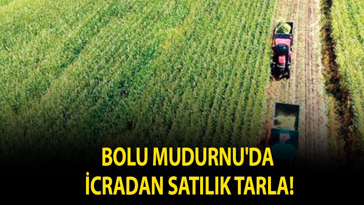Bolu Mudurnu'da icradan satılık tarla!