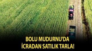 Bolu Mudurnu'da icradan satılık tarla!