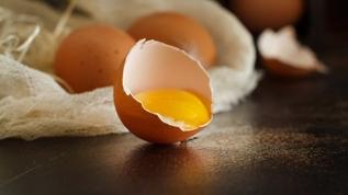 Yumurta tek seçenek değil! Protein açısından öne çıkan 7 kahvaltılık