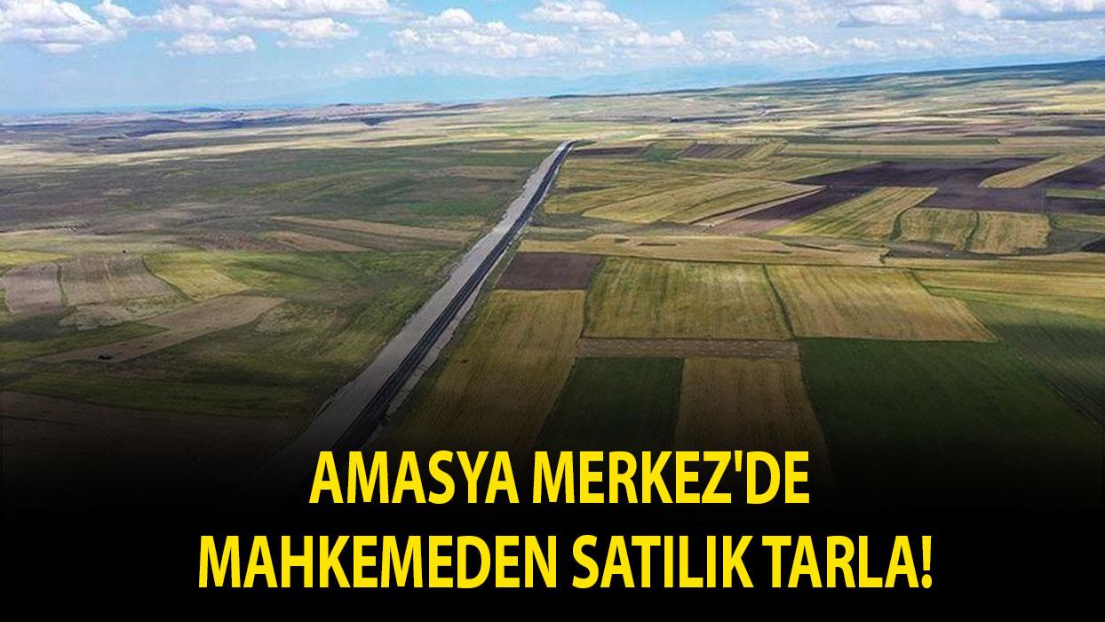 Amasya Merkez'de mahkemeden satılık tarla!