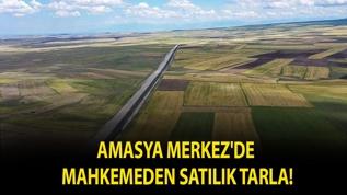 Amasya Merkez'de mahkemeden satılık tarla!