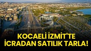 Kocaeli İzmit'te icradan satılık tarla!