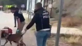 Sinop uyuşturucu operasyonu: 3 tutuklama