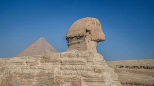 Egypt: Ancient crocodilian found in rocks that built Great Sphinx