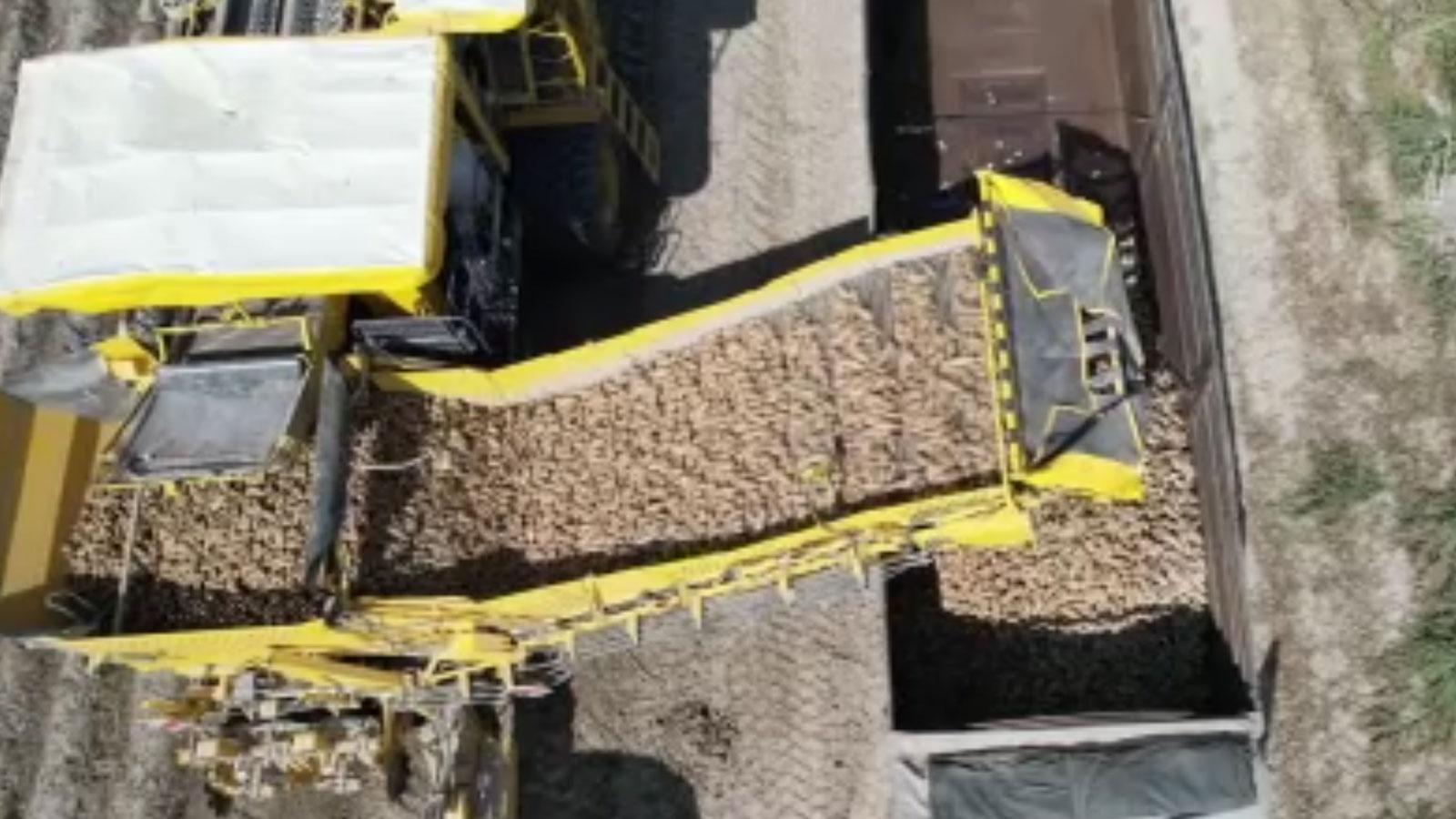 Herkes Niğde diye biliyor fakat değil, patates üretiminin %10,9'unu karşılıyor.