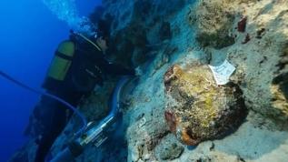 Dünyanın en eski batığına ait 4 bin 700 yıllık amforalar Kekova'da bulundu