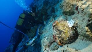 World's Oldest Shipwreck Found in Türkiye: Was It Heading to Troy?