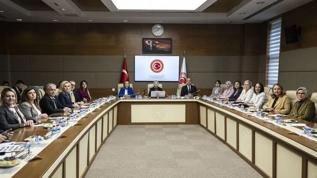 TBMM Kadın Erkek Fırsat Eşitliği Komisyonundan şiddet mağduru kadının "can güvenliği" endişesine hızlı çözüm
