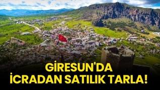 Giresun Şebinkarahisar'da icradan satılık tarla!