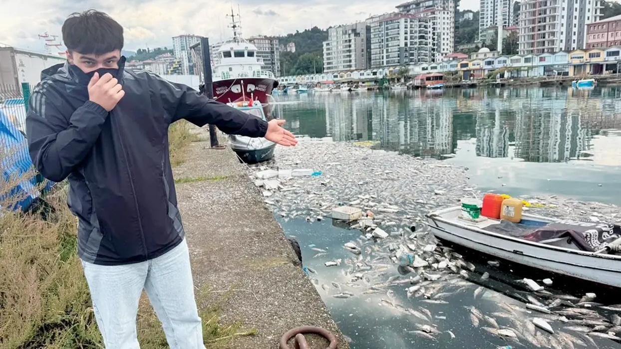 Palamut fiyatları 35 TL'ye kadar düşmüştü! Rize'den tepki çeken görüntü: Vatandaşa çok gördüler, denize döktüler