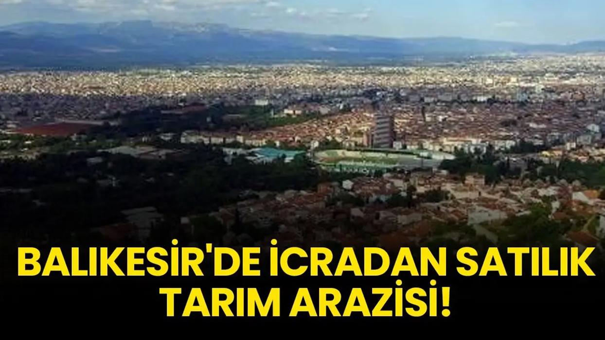 Balıkesir'de icradan satılık tarım arazisi!