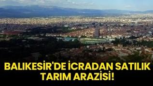 Balıkesir'de icradan satılık tarım arazisi!