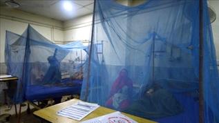 Aşırı yağışlar tehlikeyi tırmandırıyor: Bangladeş'te can kaybı 364'e çıktı, vakalar yüz bini aştı