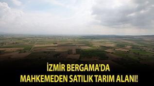 İzmir Bergama'da mahkemeden satılık tarım alanı!