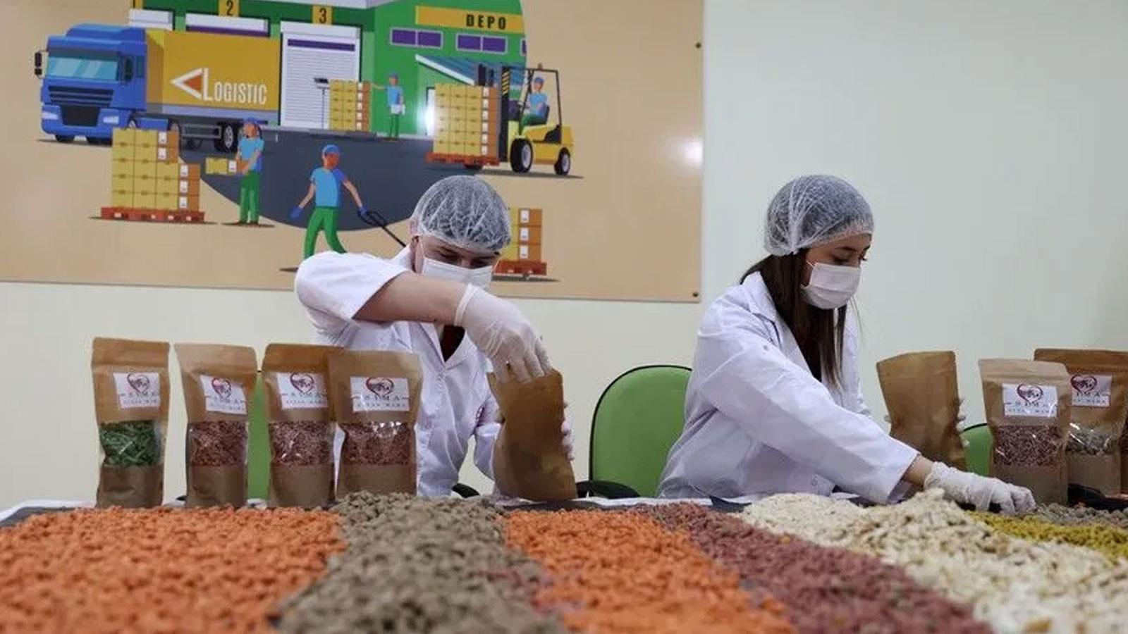 "Sıfır Atık" Projesi kapsamında 74 ilde gıda atıkları hayvan mamasına dönüştürülüyor