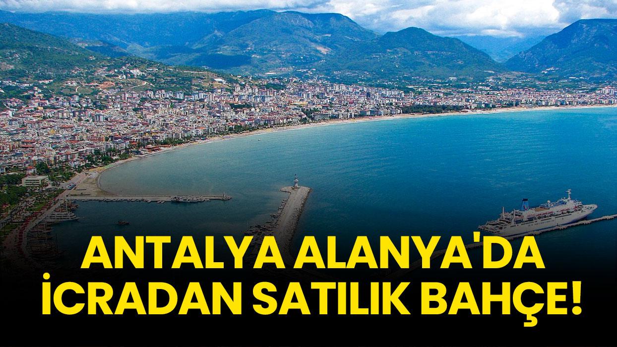 Antalya Alanya'da icradan satılık bahçe!