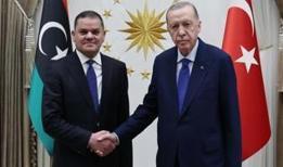 Cumhurbaşkanı Erdoğan, Libya Başbakanı Dibeybe'yi kabul etti