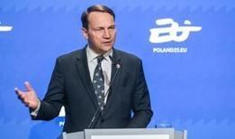 Polonya Dışişleri Bakanı Sikorski: ABD başaramazsa Türkiye var