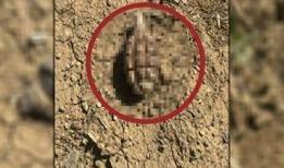 104 yıllık el bombası Polatlı'da tarlada bulundu