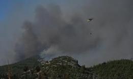 Orman yangınlarıyla mücadele... Havadan ve karadan müdahale ediliyor
