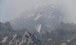 Orman yangınlarında son durum