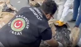 Kaçakçılığa karşı mücadele devam ediyor! Sarp Gümrük Kapısı ve İstanbul'da 601 kilo uyuşturucu ele geçirildi