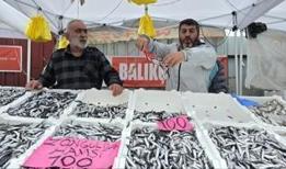 Zonguldak'ta hamsi bolluğu yaşanıyor