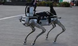 4 bacaklı robotlara milli rakip! Proteo, 2026 başında göreve hazır olacak