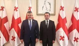 TBMM Güvenlik ve İstihbarat Komisyonu Başkanı Tipioğlu, Gürcistan Parlamentosu heyetiyle görüştü