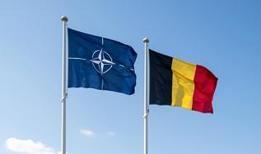 NATO Genel Sekreteri, Belçika Savunma Bakanı ile görüştü